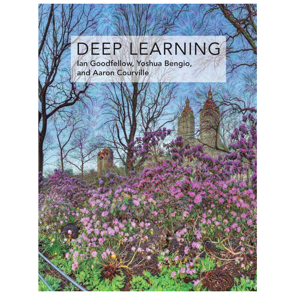 Deep Learning (Adaptive Computation and Machine Learning series) - Hardcover - ISBN 9780262035613