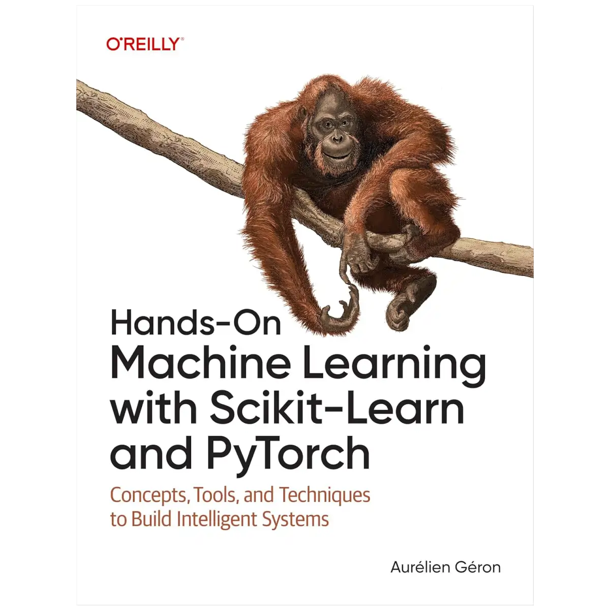 Hands-On Machine Learning with Scikit-Learn and PyTorch - Paperback